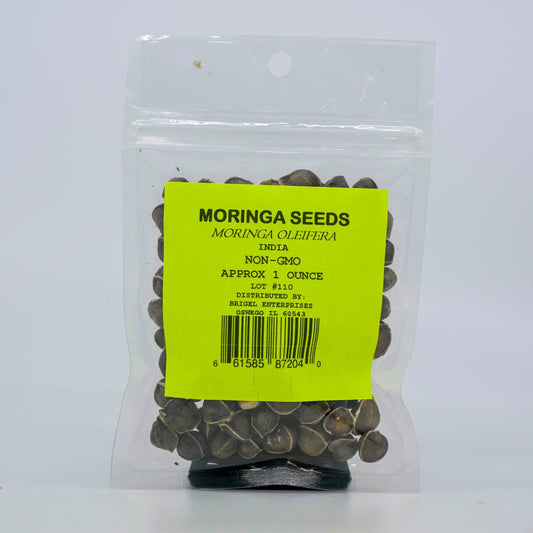 Moringa Seeds